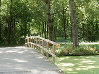 Alblasserbos!