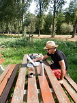 Picknickplaats met daarachter Het is niet Pluisbos!