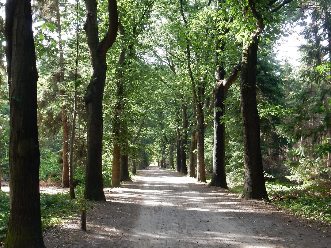 Lange statige lanen!
