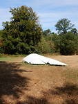 Soort Ufo!