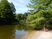 Vijver in het Stadsbos!