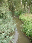 Riviertje de Beerze!