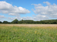 In de verte Natuurgebied de Worp!