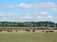 Uitzicht vanaf de dijk!