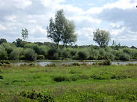 Riviertje de Linge!