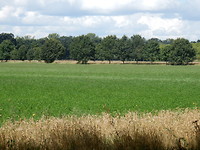 Het landgoed!