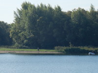 Strandjes in de Biesbosch!