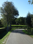 Natuurgebied de Maashorst!