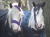 Twee Hippies!