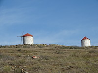 Veel wind, vroeger veel windmolens!