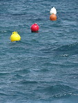 Boeien dansen op het water!