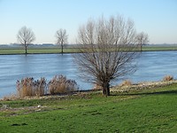 Bergsche Maas!