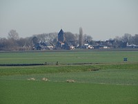Het dorp Meeuwen!