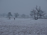 Witte Wereld!