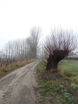 Het Brede Pad!