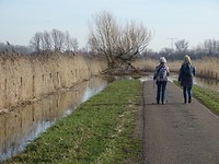 Roerdompweg!