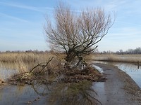 Mooi!