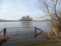 Hoog water!