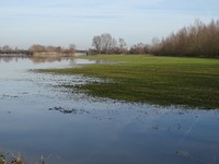 Alles onder gelopen!