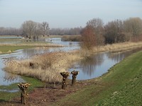 Uitzicht over de uiterwaarden!