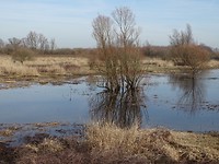 Nog een keer mooi!