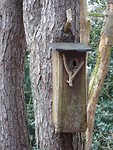 Weer een vogelhuis!
