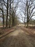 De zon komt er ook nog door!