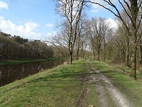De dijk langs het Drongelens Kanaal!