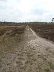 Op de grote stille Heide!