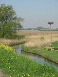 Het Oude Maasje!