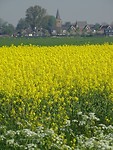 In de verte Eethen!
