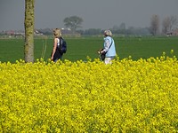 Daar gaan ze weer!