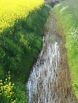 Alles bloeit en groeit!