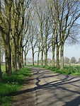 Schaduwspel!