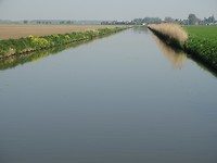 In de Klei!