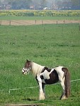 In de Klei!