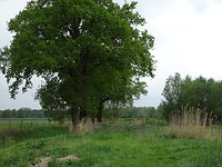 Het Laarzenpad in Chaam!
