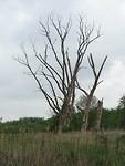 Kunstwerk van Moeder Natuur!