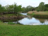 Water aan de Warande!