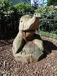 Het Mollebos!