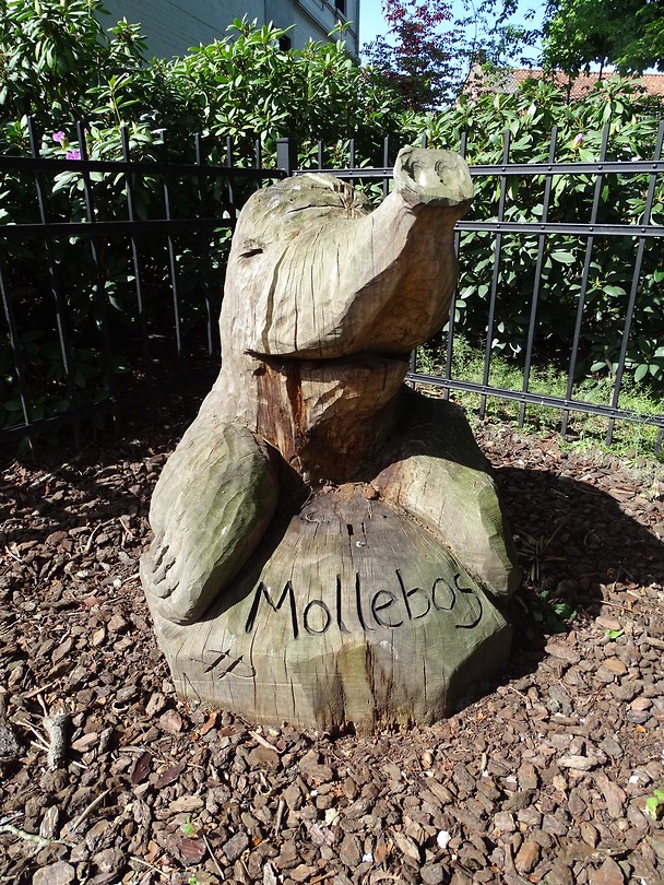 Het Mollebos!