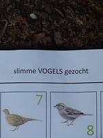 Wij zijn toch harstikke slim!