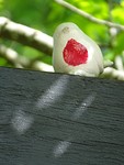 Het vogeltje met het rode borstje!