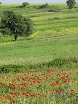 Velden!