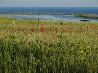 Eindelijk de lagoon gevonden!