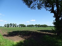 Licht en schaduw!