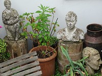 Beelden in de tuin!