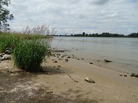 Rivierstrandje langs de Merwede!