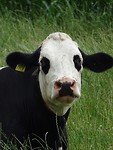 Tot de volgende keer!