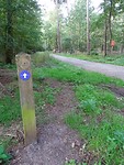 De blauwe route!